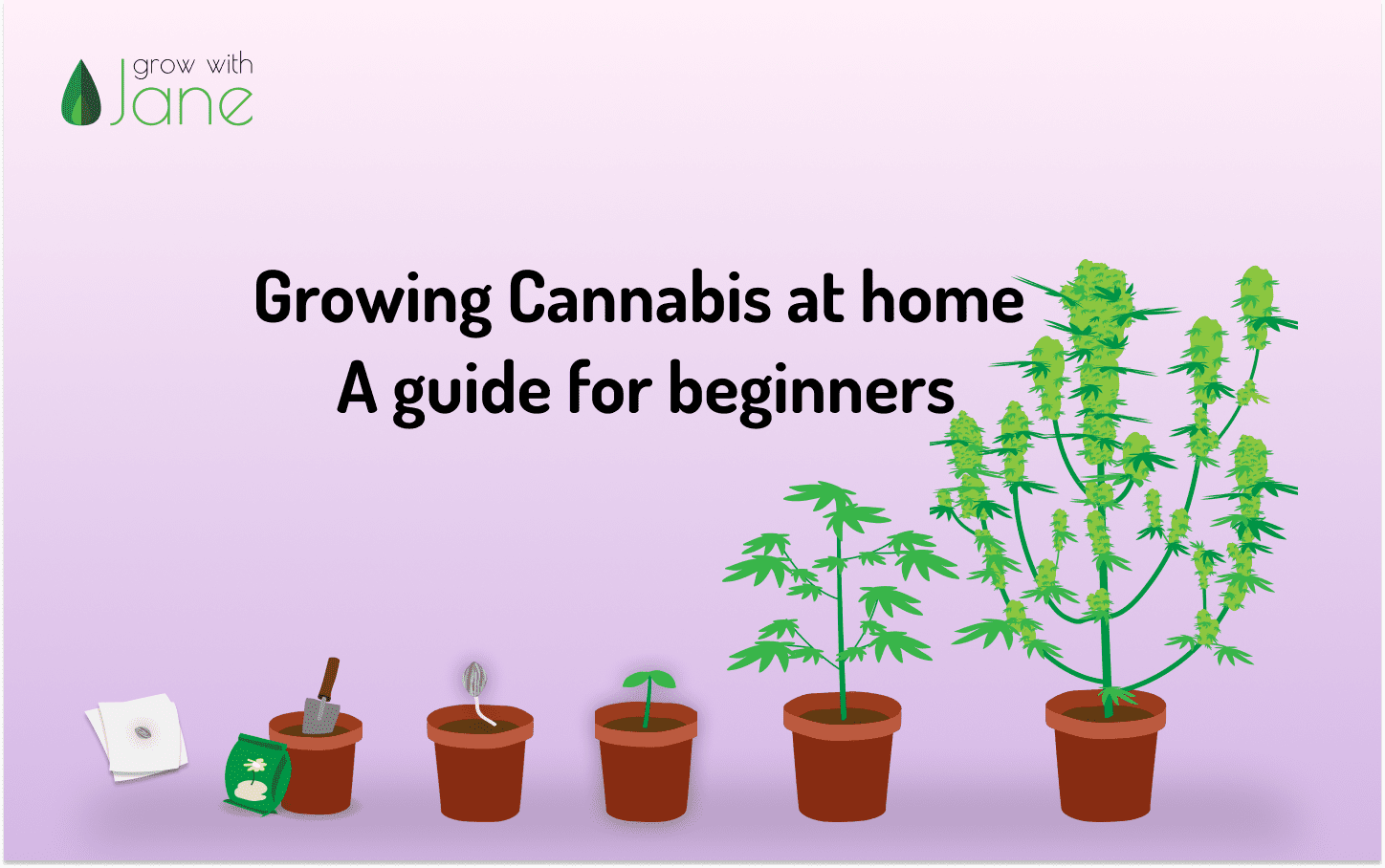 Growing Cannabis at home: a guide for beginners