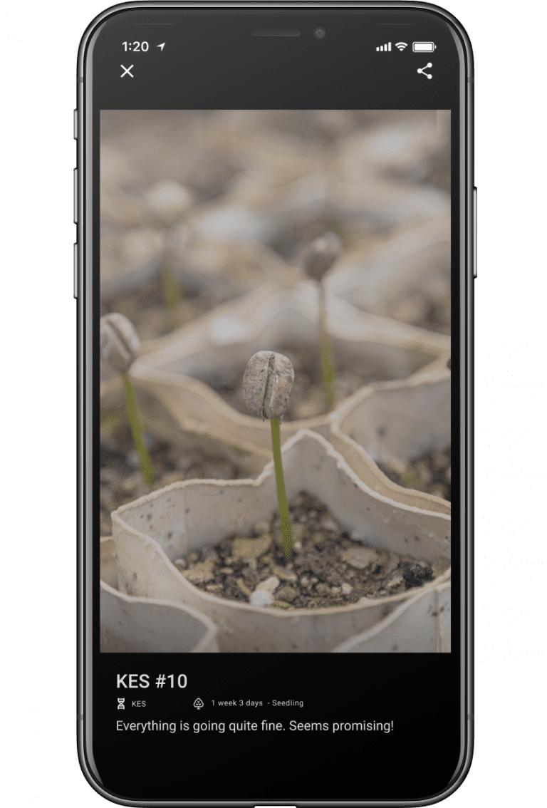 Grow with Jane The best app for Cannabis home growers