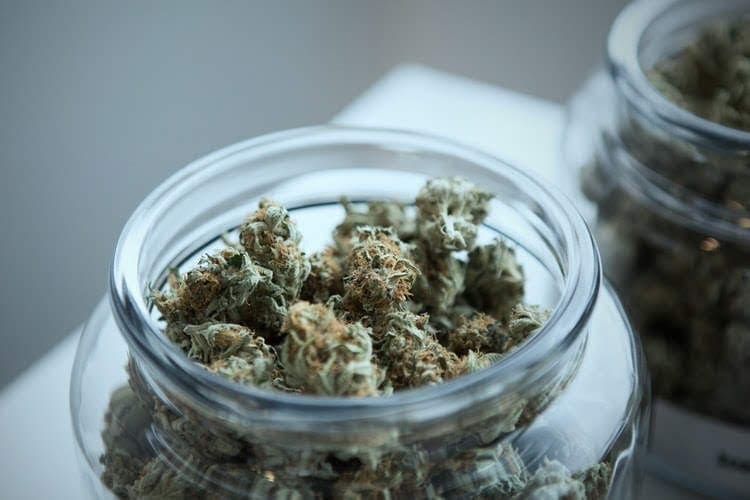 A jar with cannabis buds