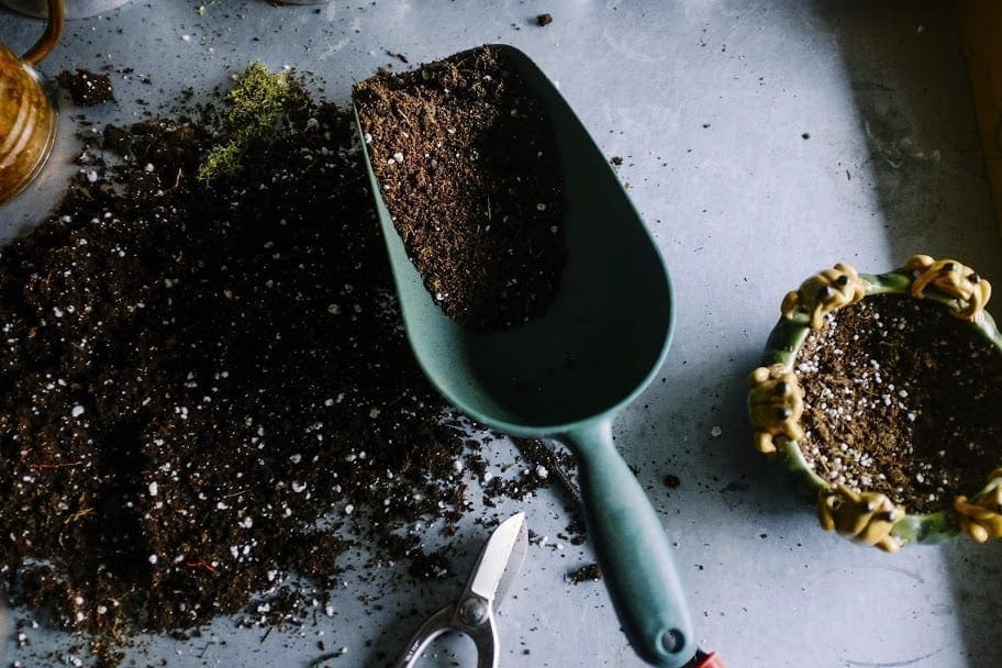 Preparing soil Cannabis crop