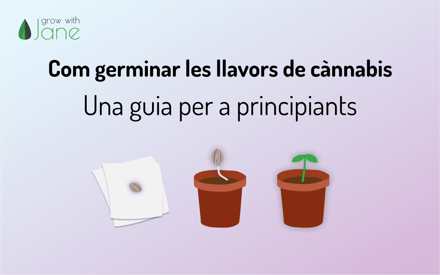 Com germinar les llavors de cànnabis: una guia per a principiants