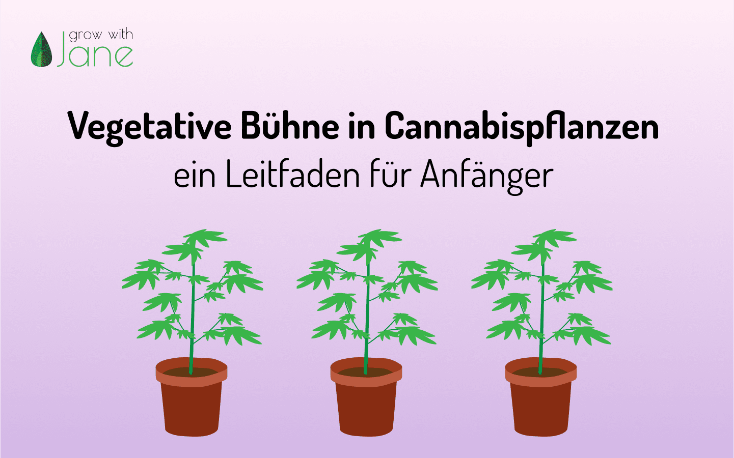 Vegetative Bühne in Cannabispflanzen: ein Leitfaden für Anfänger