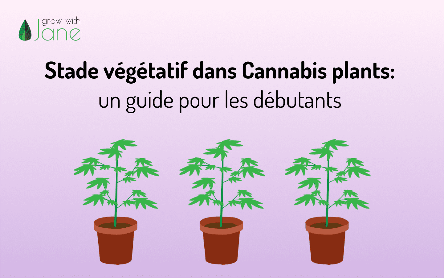 Stade végétatif dans Cannabis plants: un guide pour les débutants
