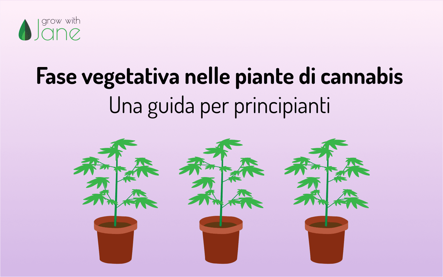 Fase vegetativa nelle piante di cannabis: una guida per principianti