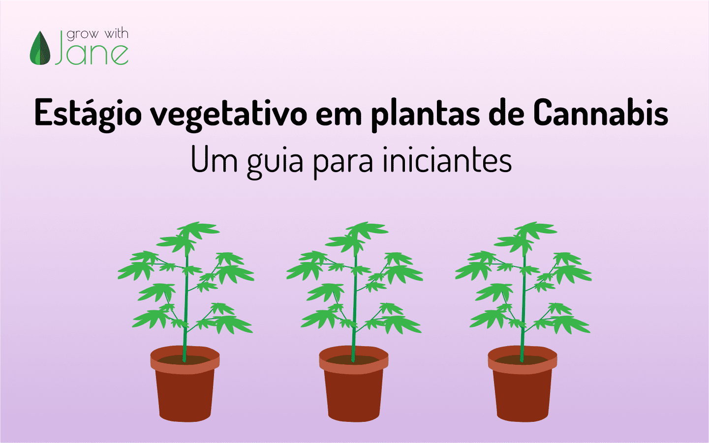 Estágio vegetativo em plantas de Cannabis: um guia para iniciantes