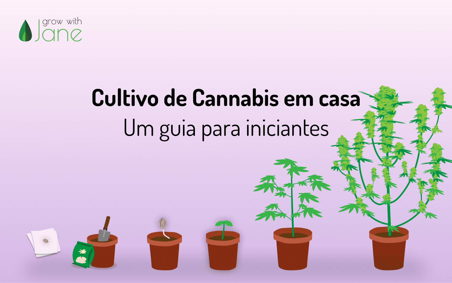 Cultivo de Cannabis em casa: um guia para iniciantes