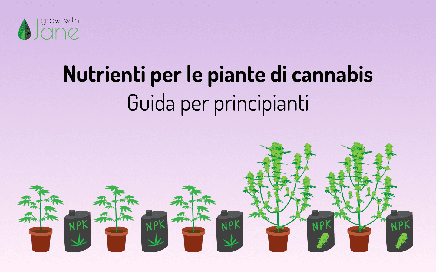 Nutrienti per le piante di Cannabis: una guida per i principianti