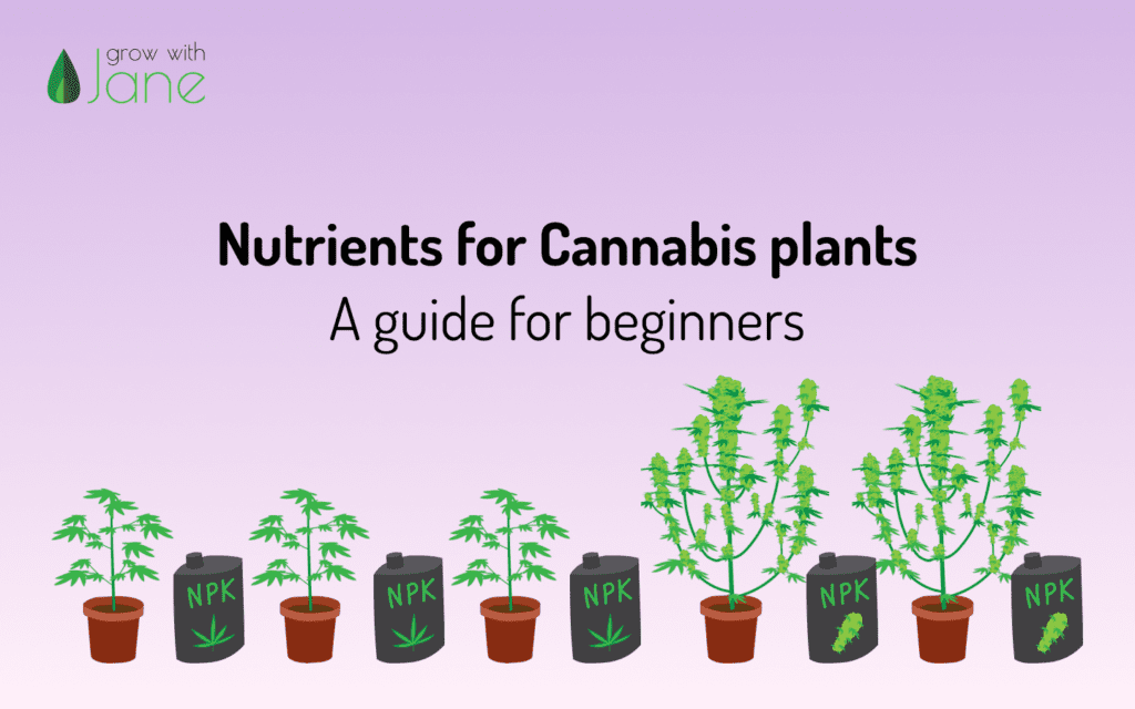 Cannabis plant nutrients Grow with Jane