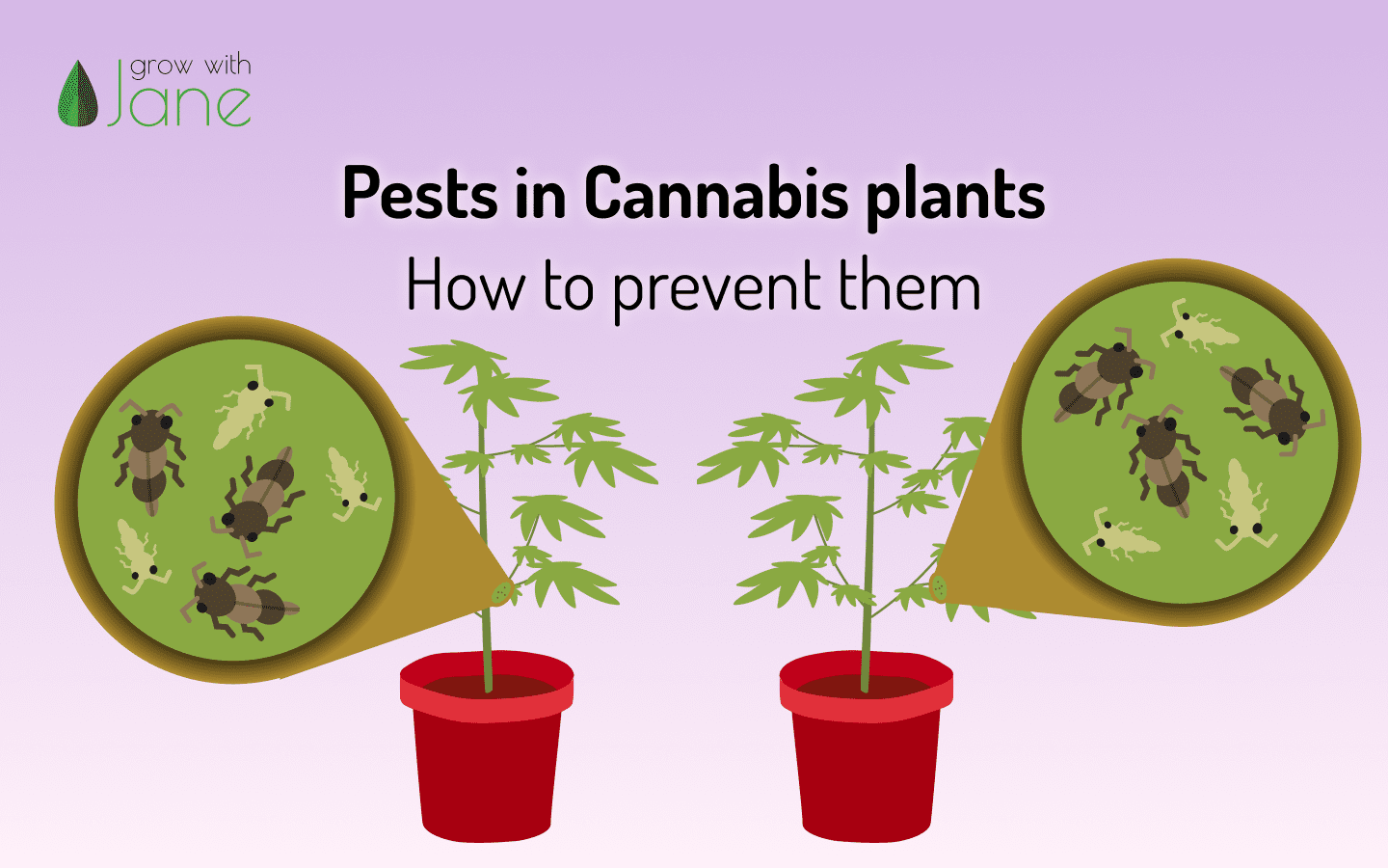 cannabis plant problems and solutions