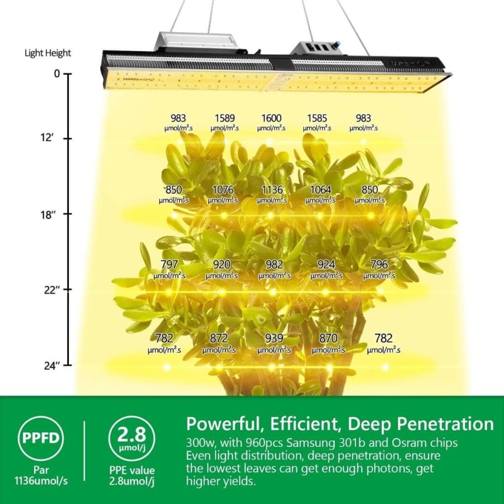 grow light height PPFD 